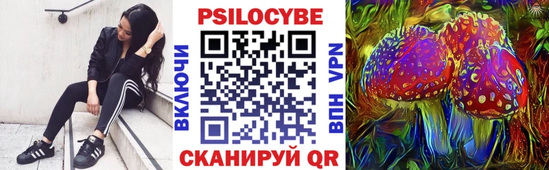 Псилоцибиновые грибы GOLDEN TEACHER  Купить закладки  Волхов 